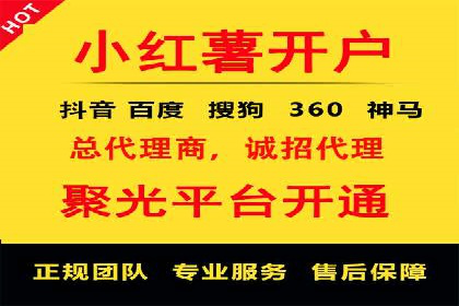 百度SEO推广：从零到一的成长案例